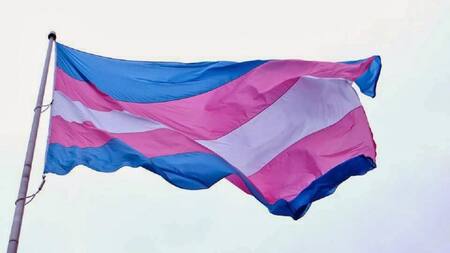 Bandera Trans, transexualidad
