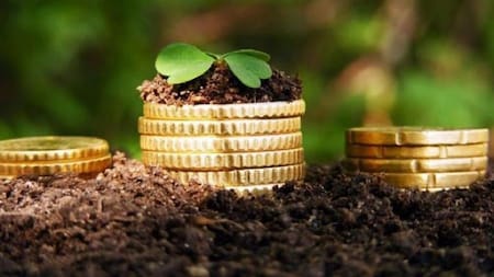 Economías regionales