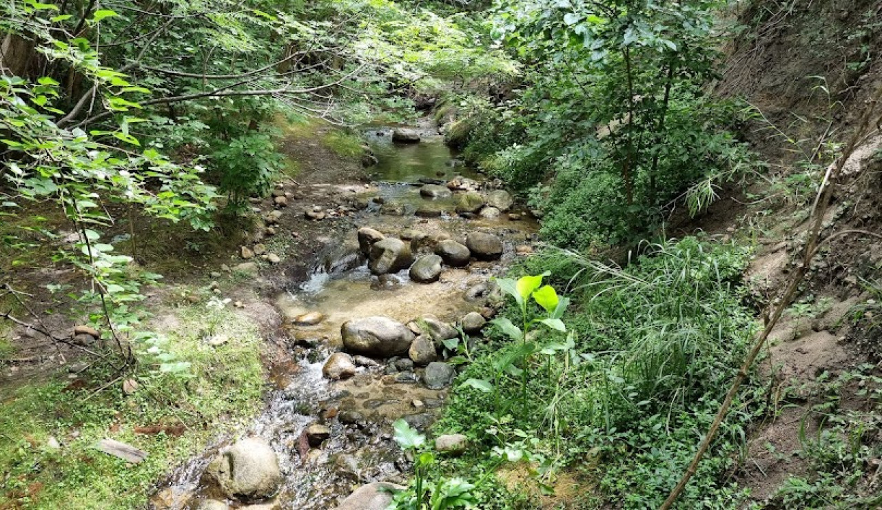 Villa de Las Rosas. Foto: captura Google Maps.