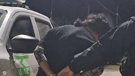 Facundo Jones Huala, Mapuches, detención, NA