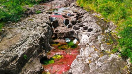 Río Caño Cristales, Colombia. Foto Instagram @viajeslibertad