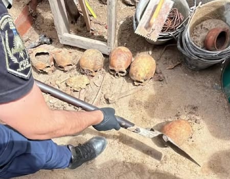 Encontraron cráneos en Ostende. Foto: Infocielo