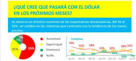 Sondeo sobre el dólar. Foto: Opina Argentina