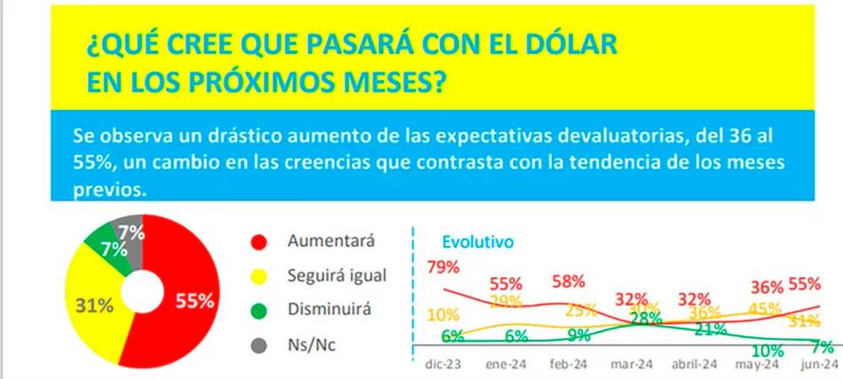 Sondeo sobre el dólar. Foto: Opina Argentina