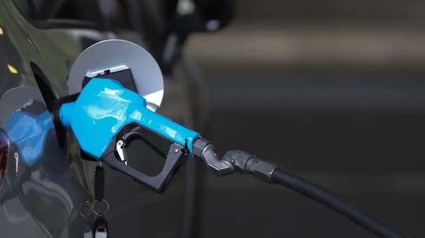 Navidad y Año Nuevo: en qué horarios no se podrá cargar nafta en las estaciones de servicio