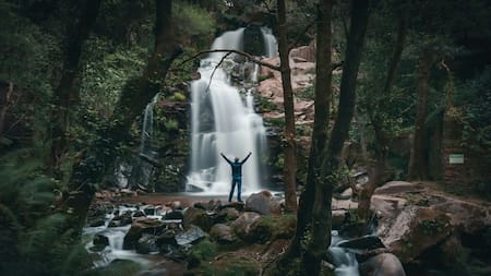 Reserva natural. Foto: Unsplash.