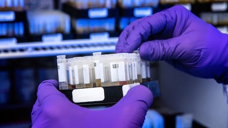 Científicos, ciencia, medicina. Unsplash