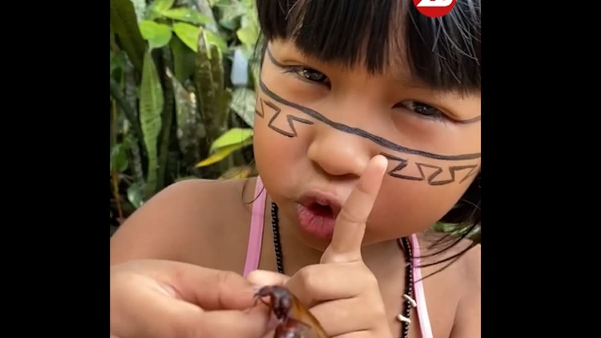 Una niña come una hormiga en el Amazonas.