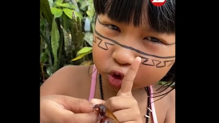 Video impactante: una niña enseña la forma correcta de comer hormigas, su golosina favorita