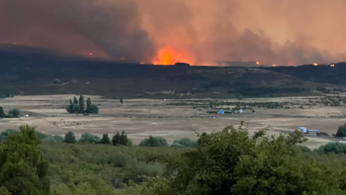 Incendios forestales en Chubut: el fuego rodea Cholila.