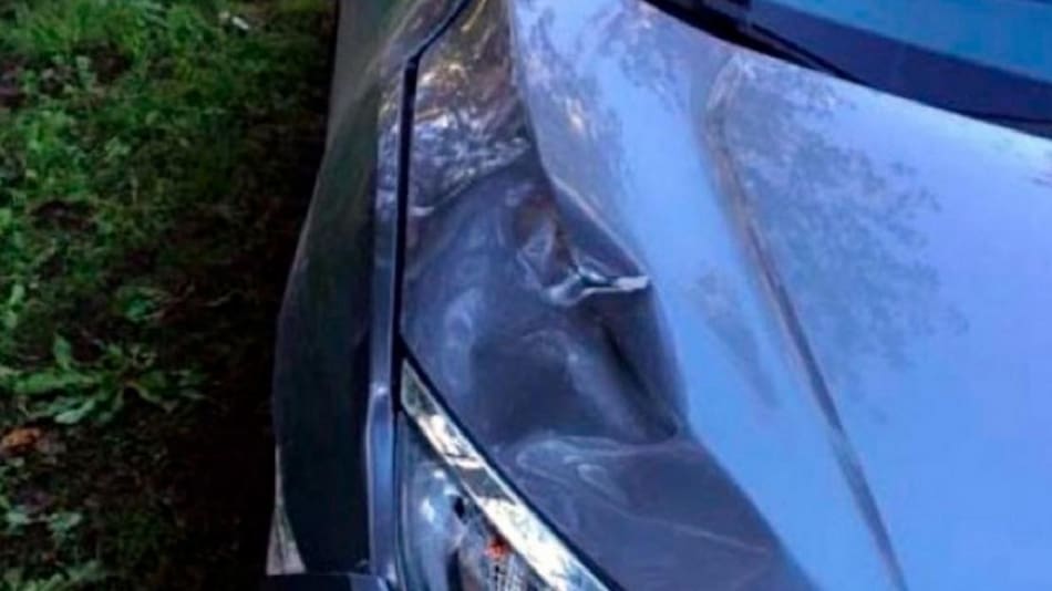 Arquitecto atropelló a su empleado en Panamericana