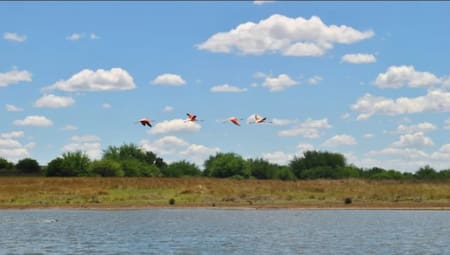 Laguna de Chasicó. Foto:Turismo Villarino