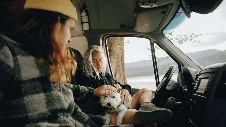 Viaje con mascotas en las vacaciones.