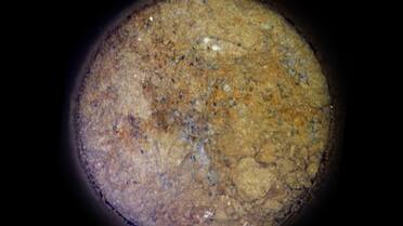 ¿Estamos realmente solos en el universo?: la NASA descubrió la pista más importante de vida antigua en Marte