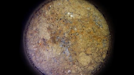 ¿Estamos realmente solos en el universo?: la NASA descubrió la pista más importante de vida antigua en Marte