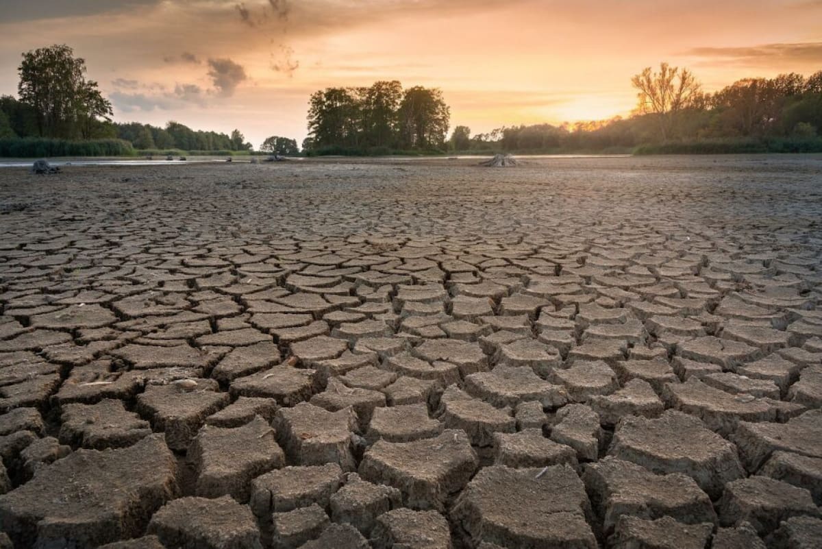 El impacto del cambio climático en los cultivos.