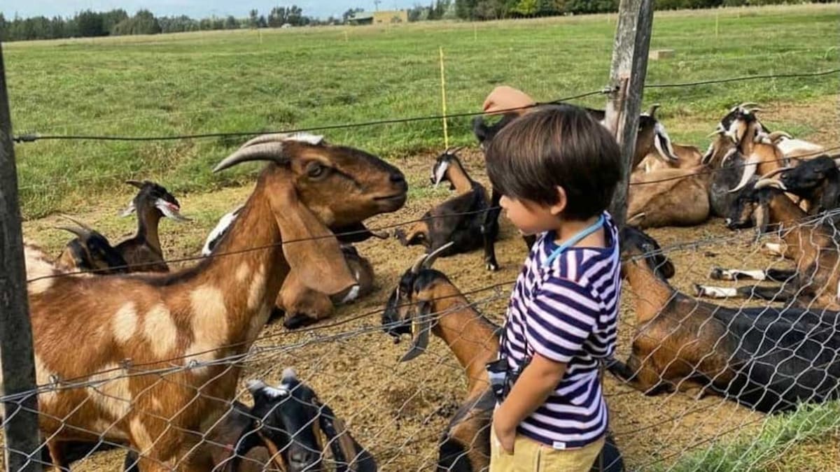El pueblito con granja para disfrutar de una escapada