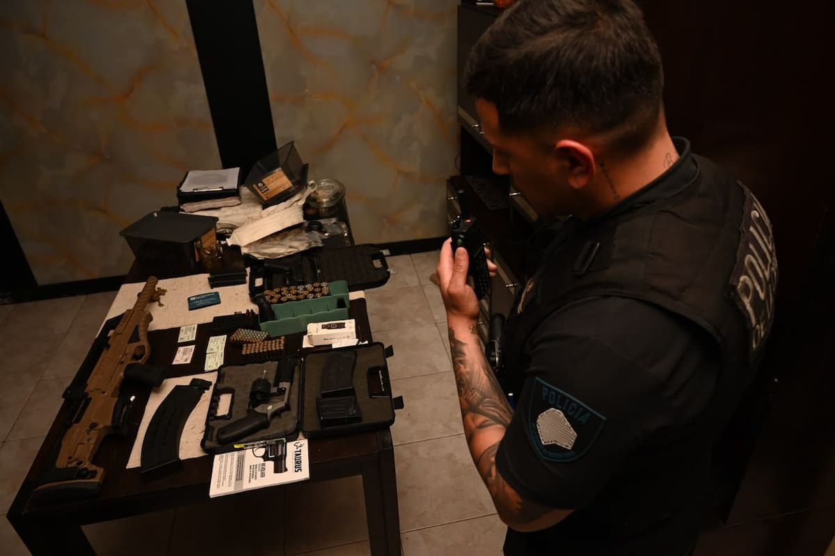 Secuestraron un arsenal y 50 plantas de cannabis durante un allanamiento.