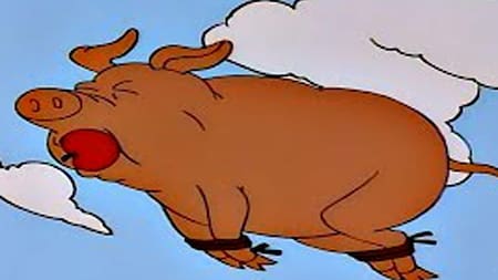 Memes, animal arrojado en Punta del Este