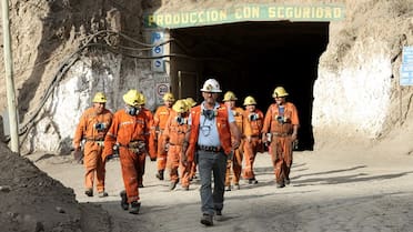 El Gobierno se desvinculó del control de una importante empresa minera para entregársela a una provincia: qué representa este cambio