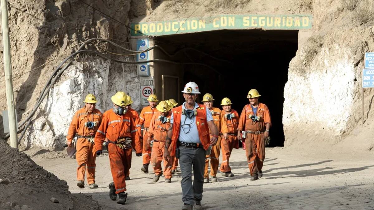 El Gobierno se desvinculó del control de una importante empresa minera para entregársela a una provincia: qué representa este cambio
