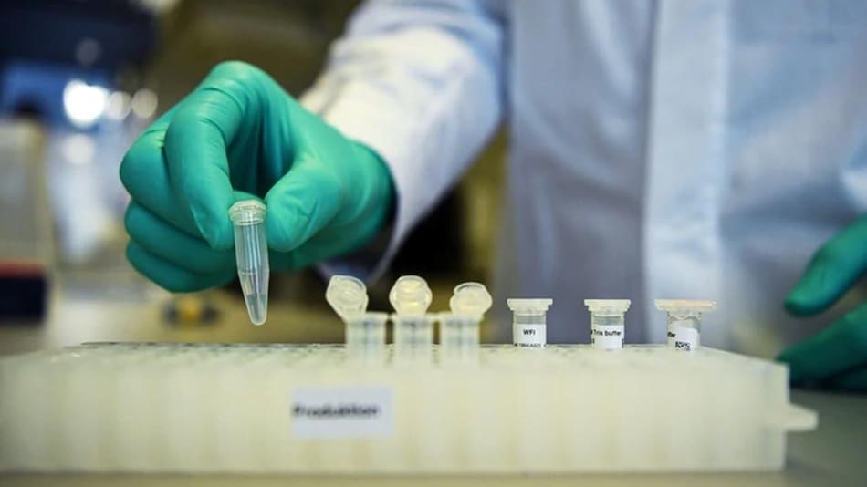Coronavirus, pruebas en laboratorio, científicos