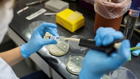 Análisis de influenza en el Instituto Malbran.