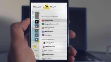 Mosquito Alert, la aplicación española para detectar la presencia de mosquitos en el país. Foto: Mosquito Alert.