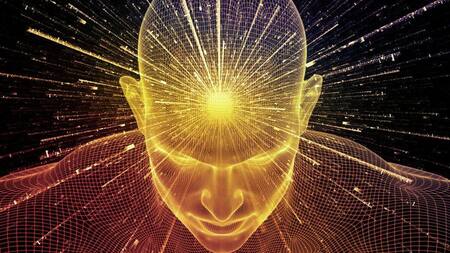 Metafísica, informe