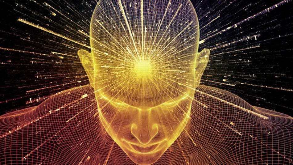 Metafísica, informe