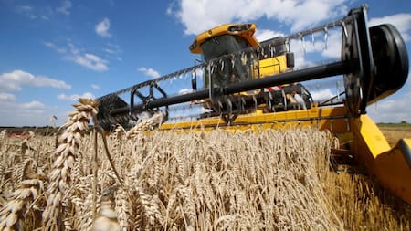 Cosecha. Foto: Reuters.