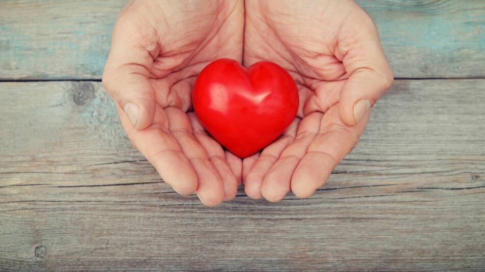 Donación de órganos. Foto: Unsplash.