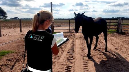 Aduana detecta irregularidades en importaciones temporarias realizadas por diversas empresas tras tareas de control realizadas en Mendoza, San Luis y Córdoba.