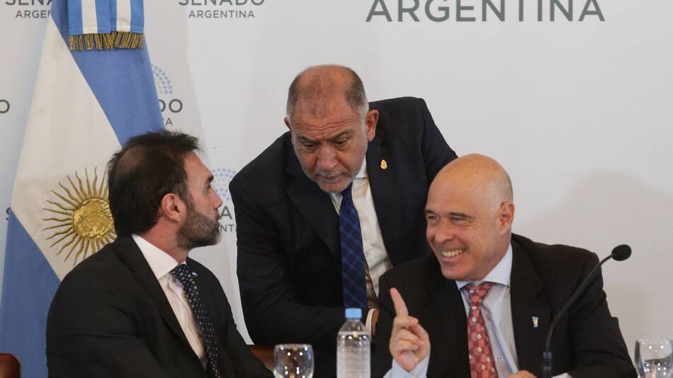 Tratamiento de Ley Bases en el Senado. Foto: NA