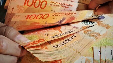 Dinero argentino. Foto: archivo Canal 26