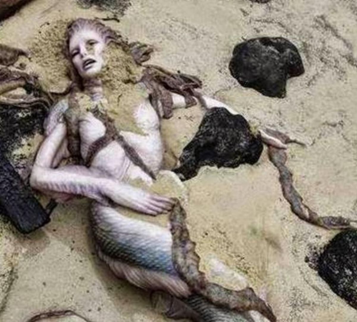 Sirena