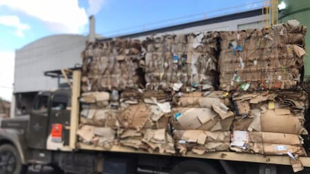 Peligra la fabricación de cartón por falta de recicladores