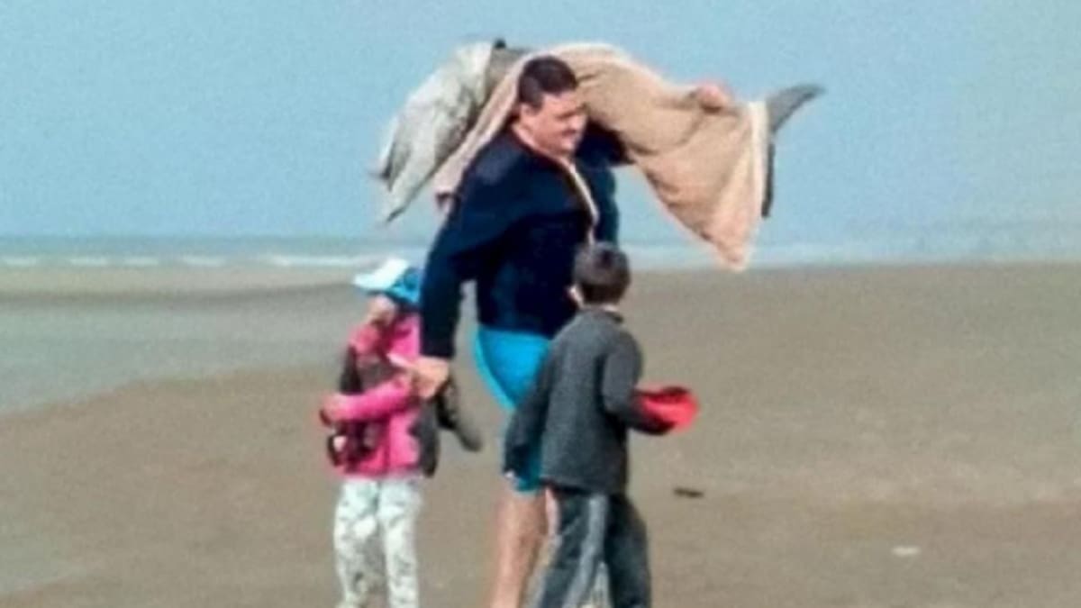 Mar del Tuyú: denuncian a un hombre que capturó un delfín y se lo llevó en una frazada