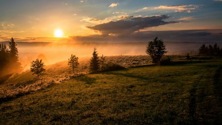 Misterio resuelto: ¿cuál es el verdadero color del Sol?. Foto: Unsplash