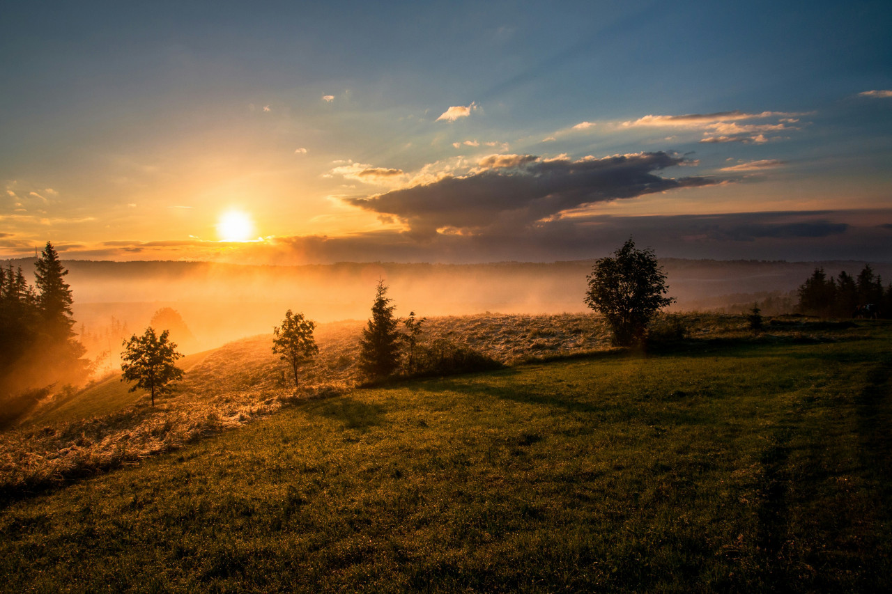 Misterio resuelto: ¿cuál es el verdadero color del Sol?. Foto: Unsplash