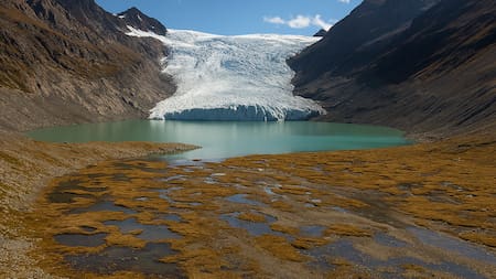 La Academia Nacional de Ciencias advierte: proteger glaciares y sistemas periglaciales es clave para el futuro del agua en Argentina