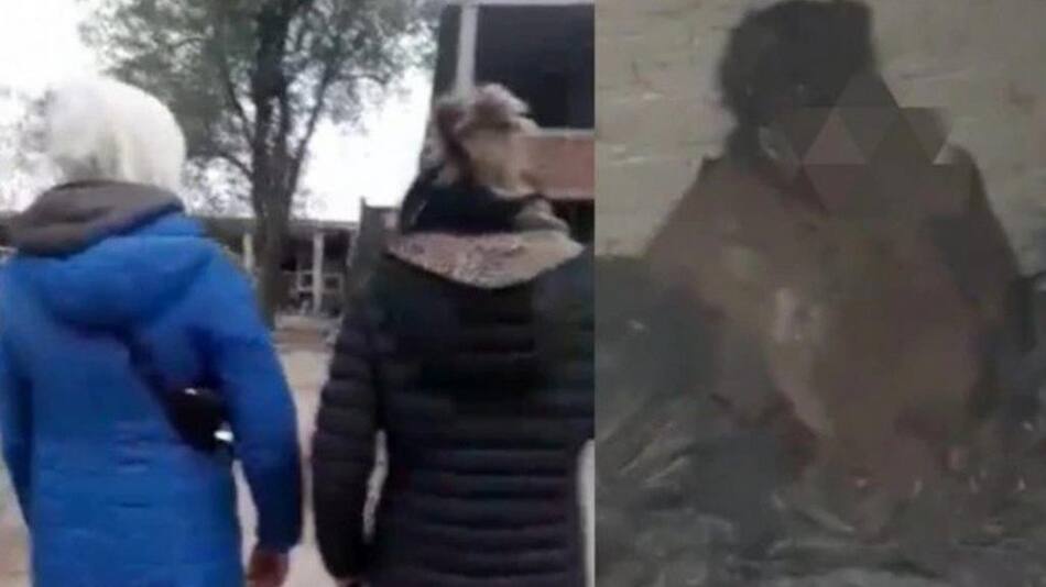 Mujeres se filmaron junto a cadáveres en un cementerio de Mendoza