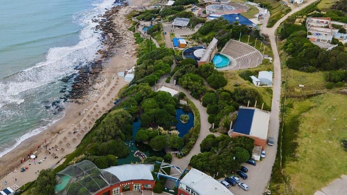 La caída del Aquarium de Mar del Plata: abrió en 1993, fue ícono de los veranos y hoy quebró poniéndole precio a cuatro pingüinos