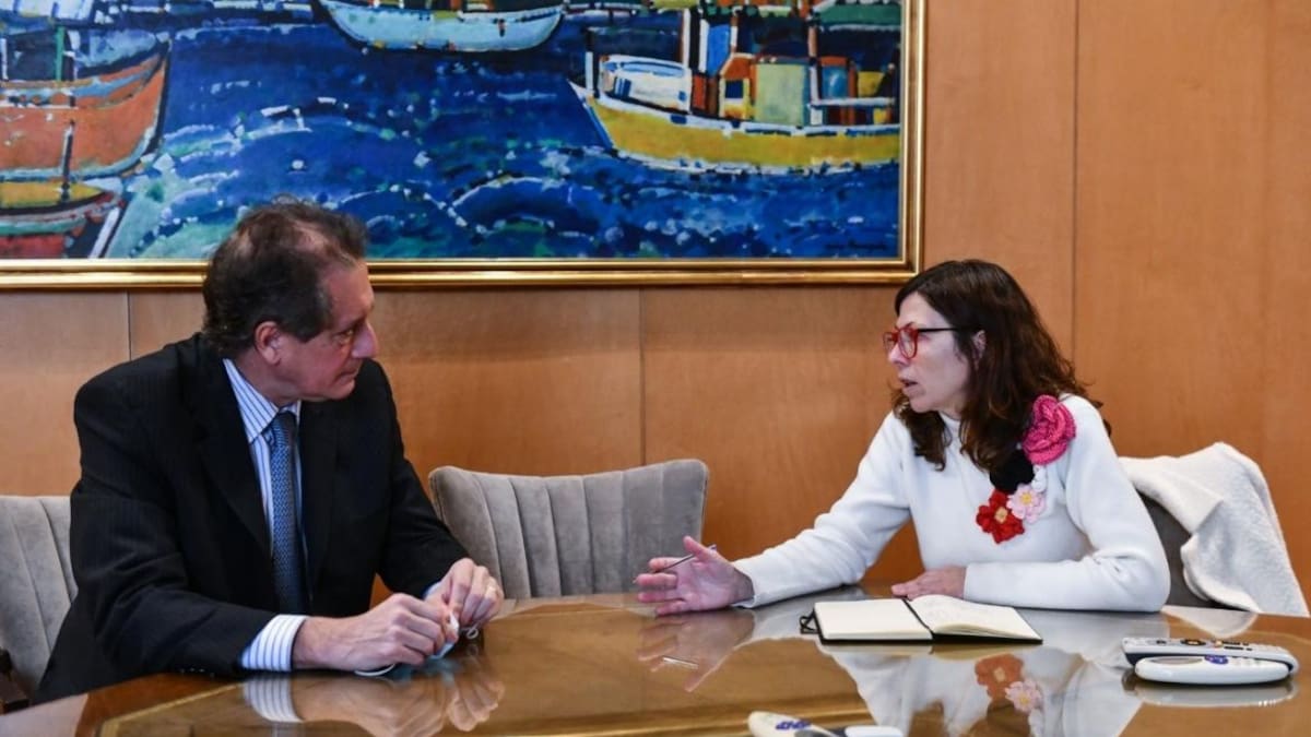 Pesce y Batakis, Gobierno, NA