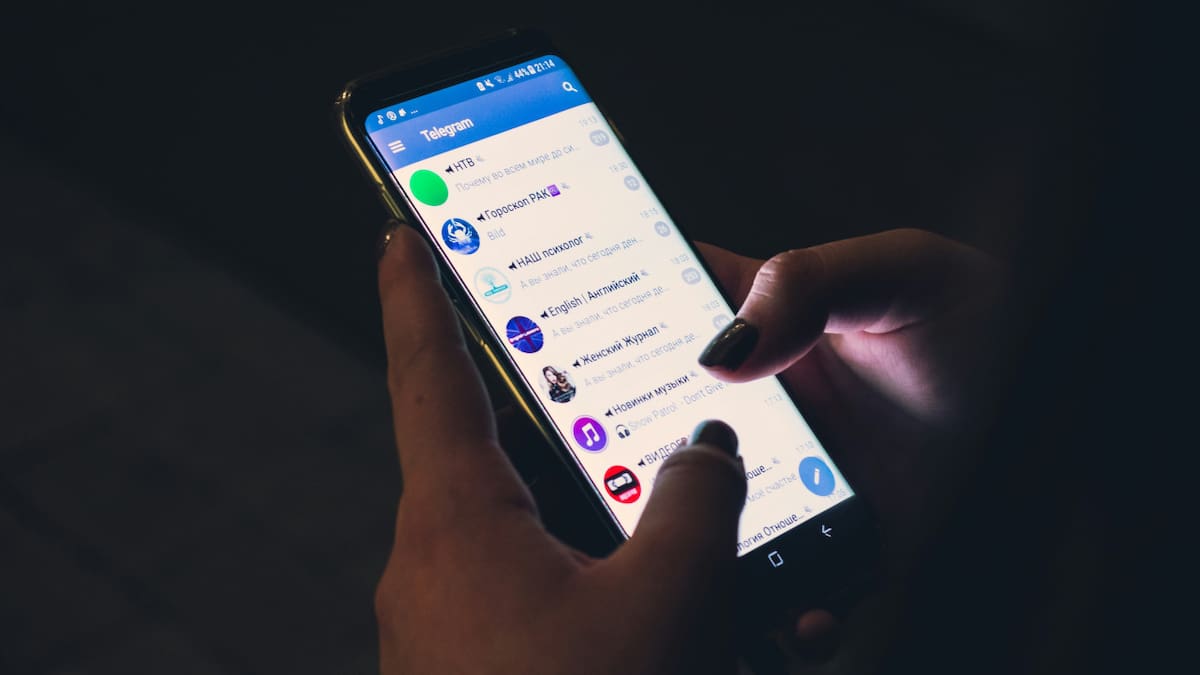 Telegram: los trucos para descubrir a las personas que utilizan la aplicación