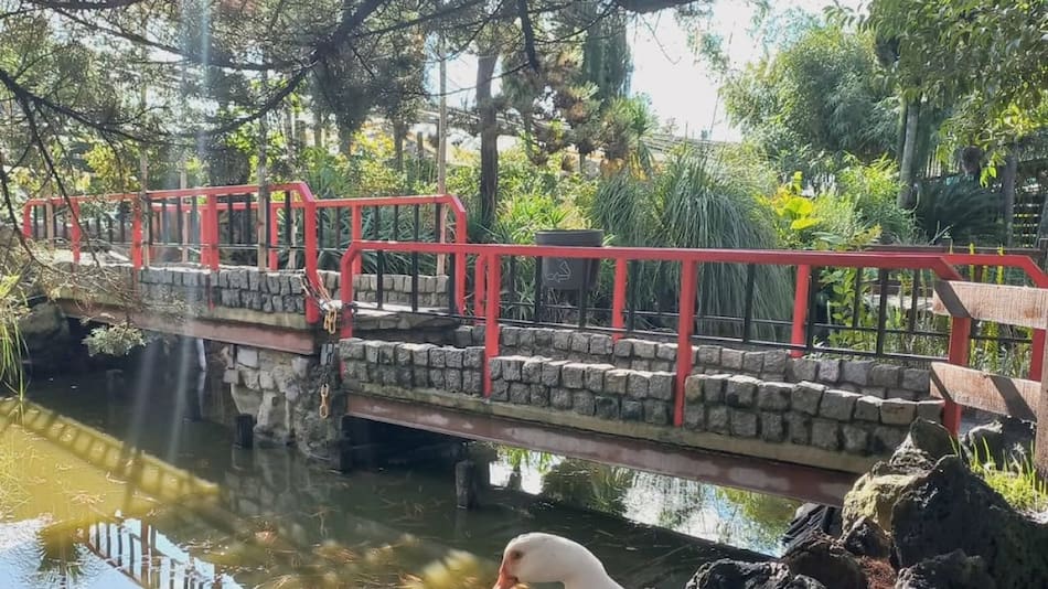 Mizujo, una encantadora aldea japonesa en Buenos Aires. Foto Instagram @mizujocampolibre_oficial