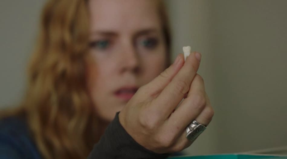 Serie "Heridas abiertas" ("Sharp Objects"). Foto: Max.