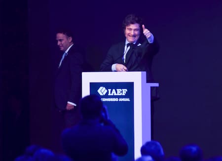 Javier Milei habló en el cierre del 41° Congreso Anual del IAEF. Foto: NA.