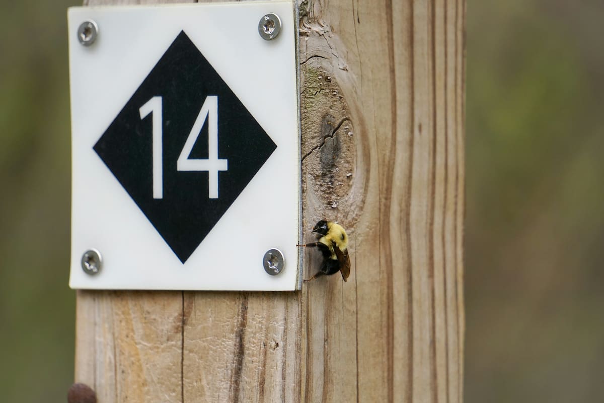 El número 14 en un cuadrado de madera.