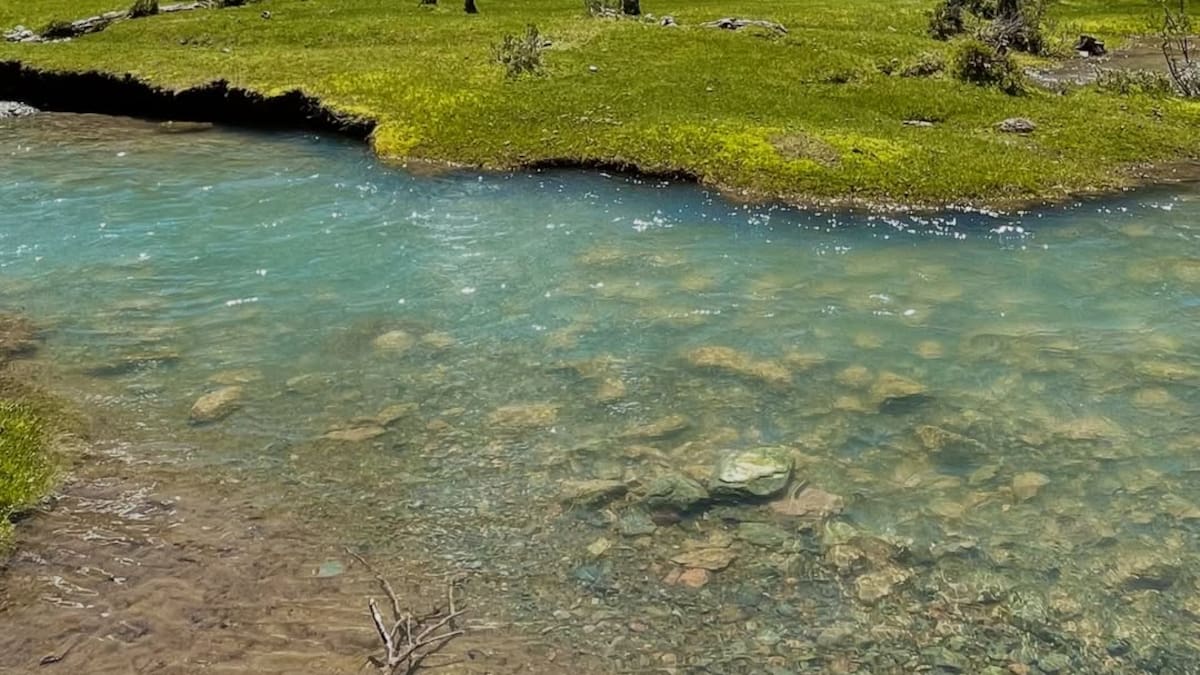 Refugio Hielo Azul.
